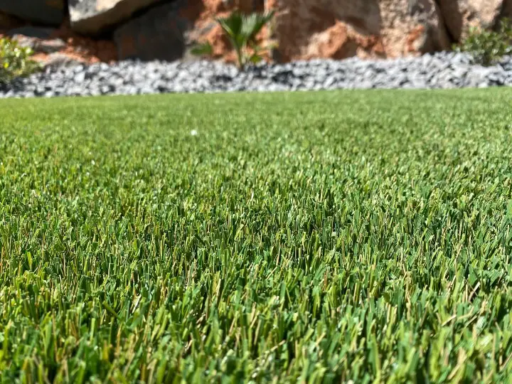 Turf vs. Grass
